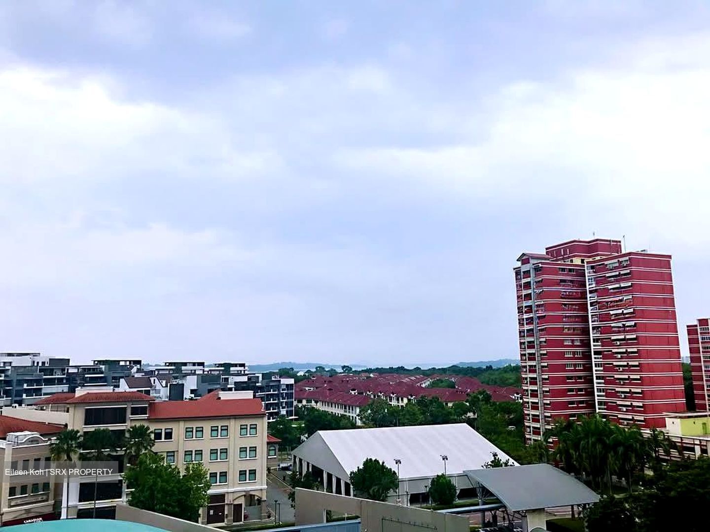 Oasis @ Elias (D18), Condominium #551259061